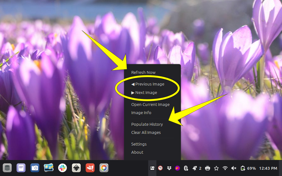 Bing Daily main screenshot